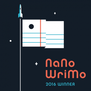 nano_16_winner